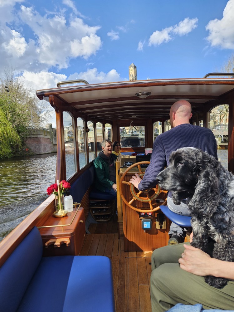 niederlande mit hund